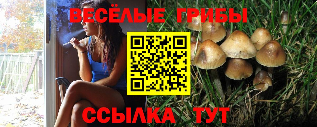 Галлюциногенные грибы Cubensis Дивногорск