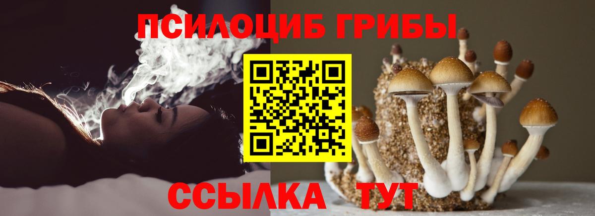 Галлюциногенные грибы мицелий  Псилоцибиновые грибы GOLDEN TEACHER  Вход с VPN  Дивногорск 